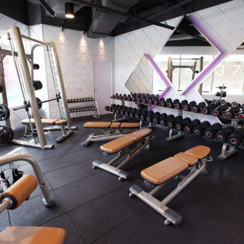 Celebrity Fitness Singapore Rochester Mall Free Weights Area 2