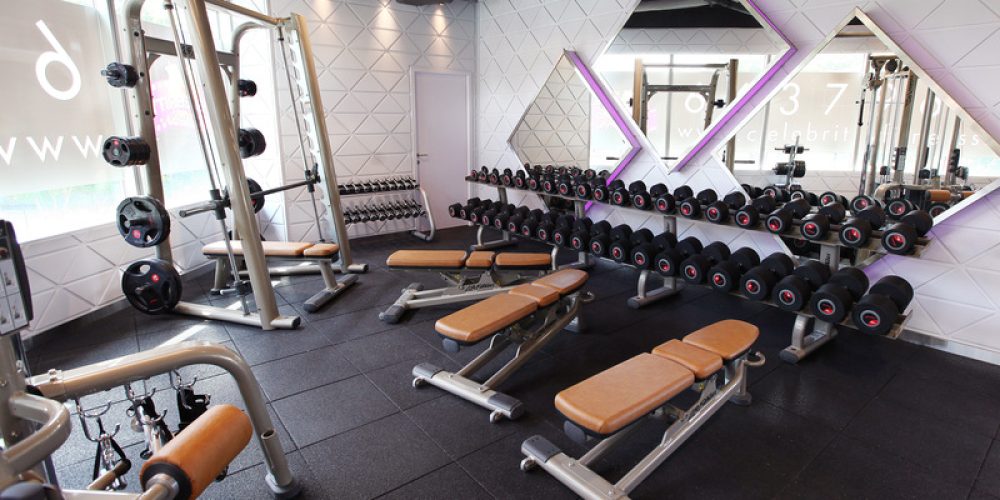 Celebrity Fitness Singapore Rochester Mall Free Weights Area 2